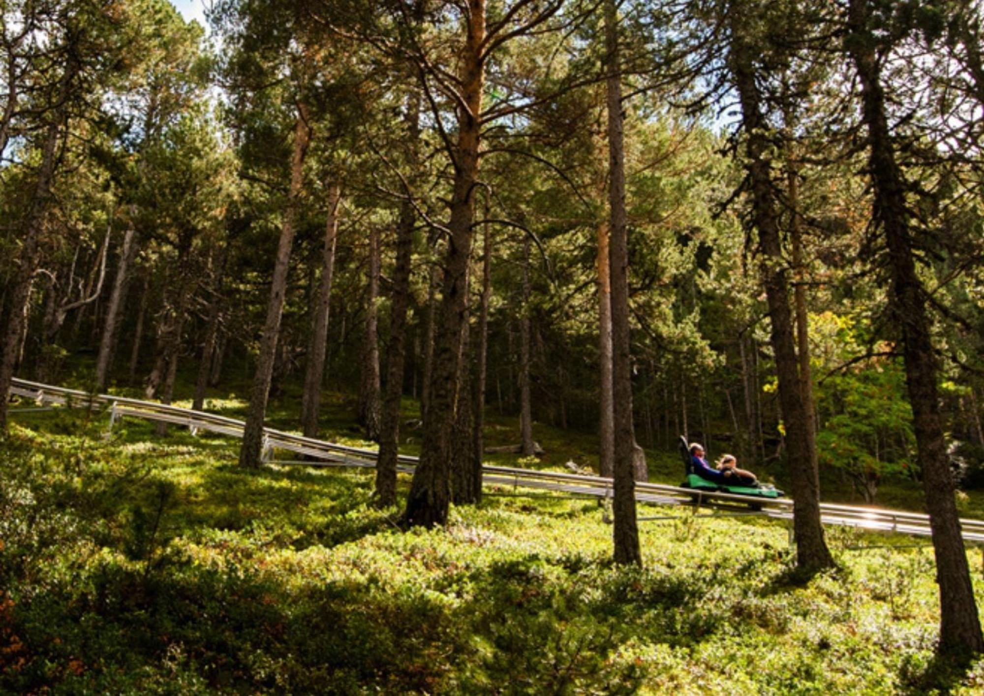 Apartamento Moderno El Bosque En Arinsal Εξωτερικό φωτογραφία